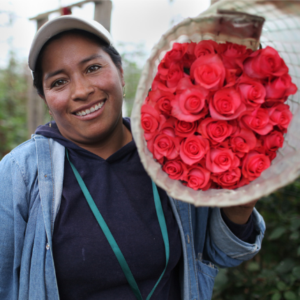 woman-holding-fair-trade-certified-roses-recently-picked woman-holding-fair-trade-certified-roses