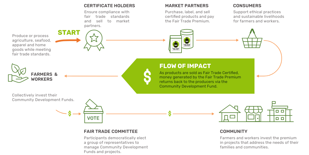 trade-certification-infographic