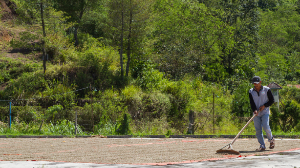agricultural-worker agricultural-worker