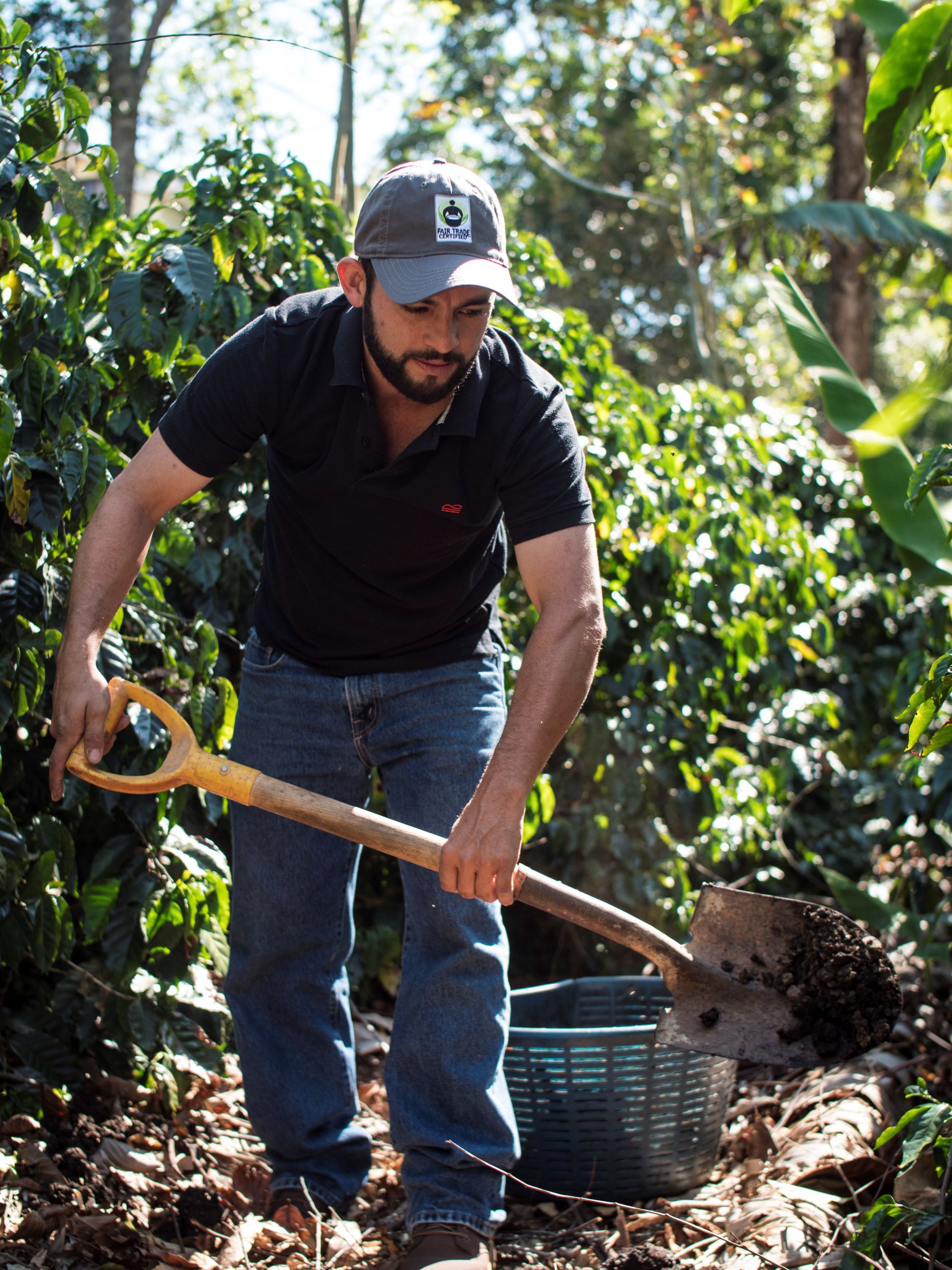 coopetarrazu-costa-rica-fair-trade-certified-coffee-coop coopetarrazu-costa-rica-fair-trade-certified-coffee-coop