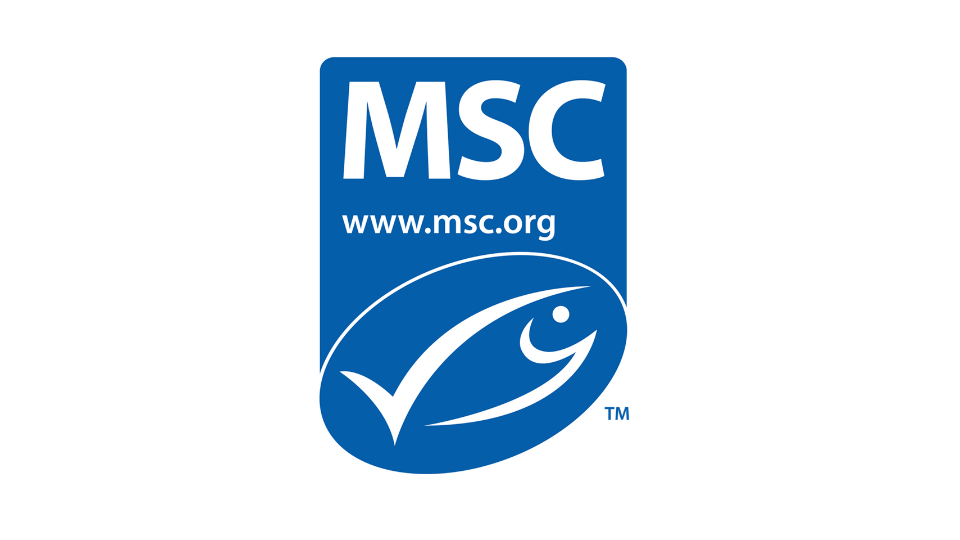 MSC logo